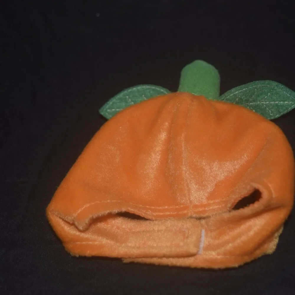 Meijer Halloween Pet Hat XS/S (4